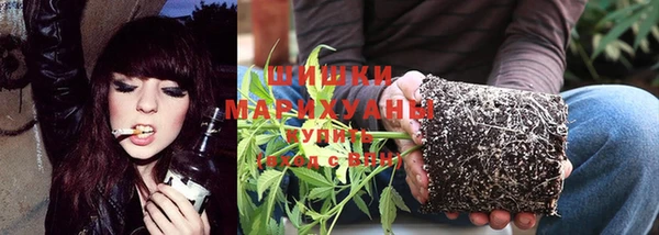 mdpv Елизово