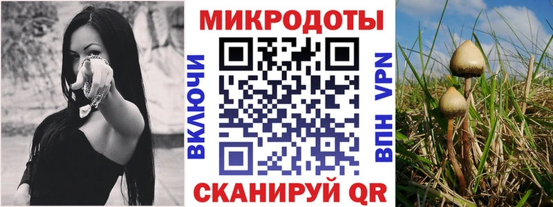 Псилоцибиновые грибы ЛСД  Ачинск 